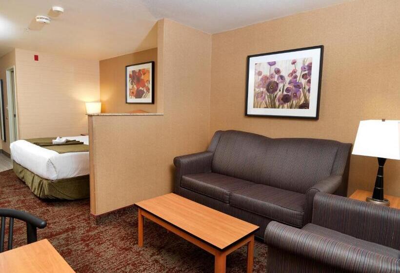 스탠다드 룸 킹사이즈 침대, Crystal Inn Hotel & Suites   Midvalley