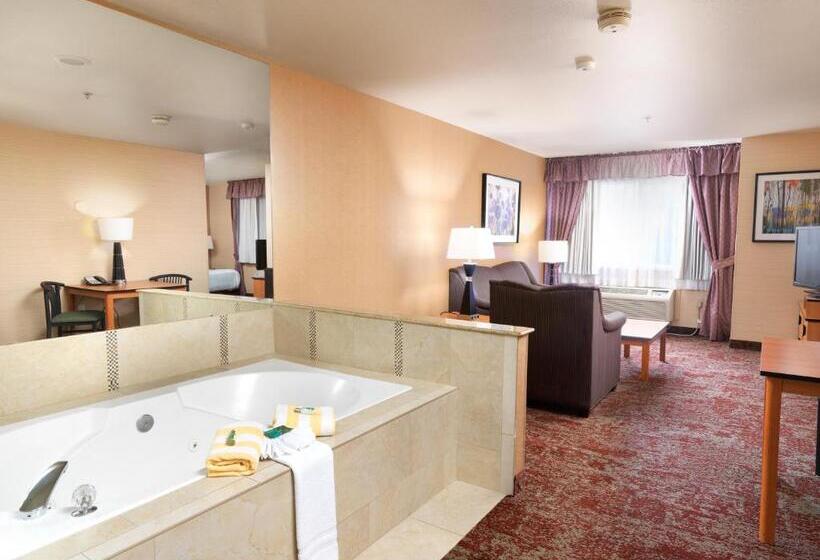 스탠다드 룸 킹사이즈 침대, Crystal Inn Hotel & Suites   Midvalley