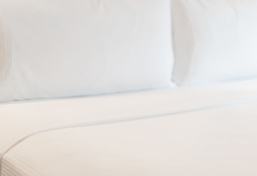 اتاق اجرایی, Hilton Berlin