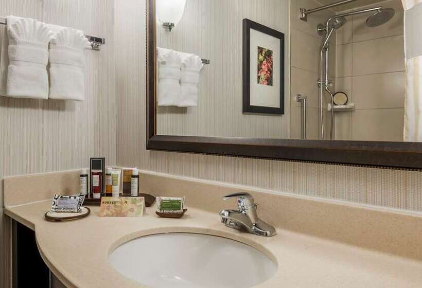 اتاق لوکس با تخت بزرگ, Hilton Berlin