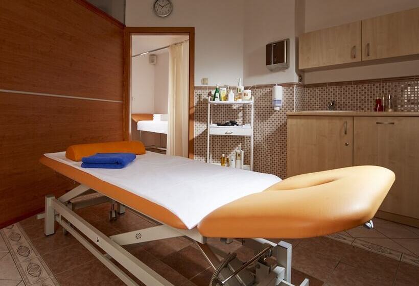Люкс, Orea Spa Hotel Palace Zvon Mariánské Lázně