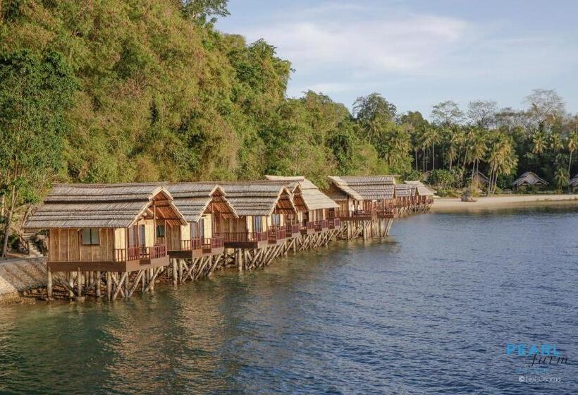 خانه 1 خوابه, Pearl Farm Beach Resort