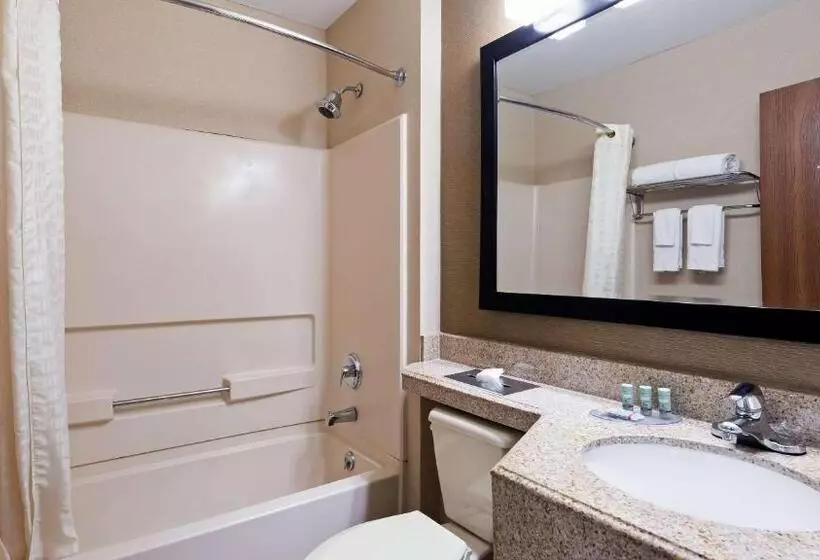 身障者適用キングサイズベッドルーム, Best Western Crown Inn & Suites   Batavia