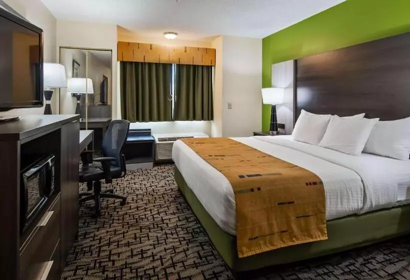 身障者適用キングサイズベッドルーム, Best Western Crown Inn & Suites   Batavia