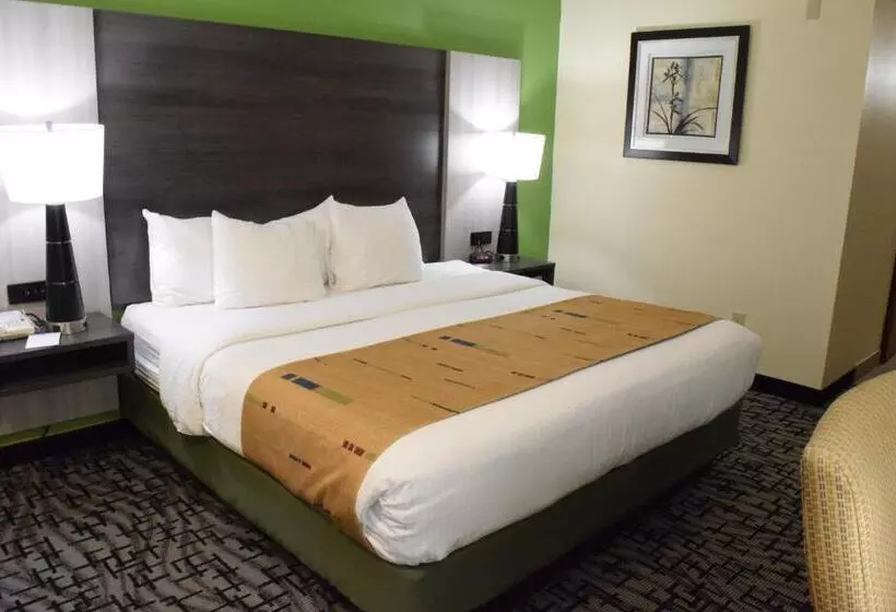 身障者適用キングサイズベッドルーム, Best Western Crown Inn & Suites   Batavia