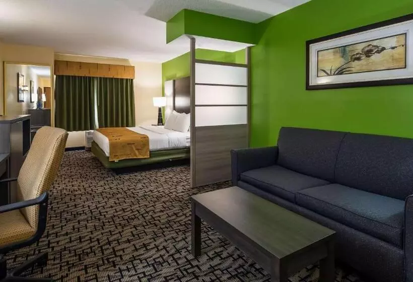 キングサイズベッドのスイートルーム, Best Western Crown Inn & Suites   Batavia