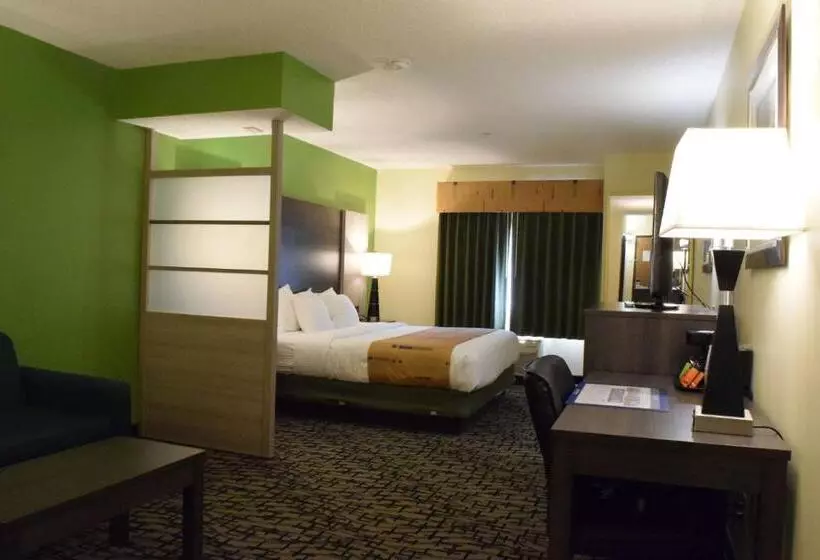 キングサイズベッドのスイートルーム, Best Western Crown Inn & Suites   Batavia