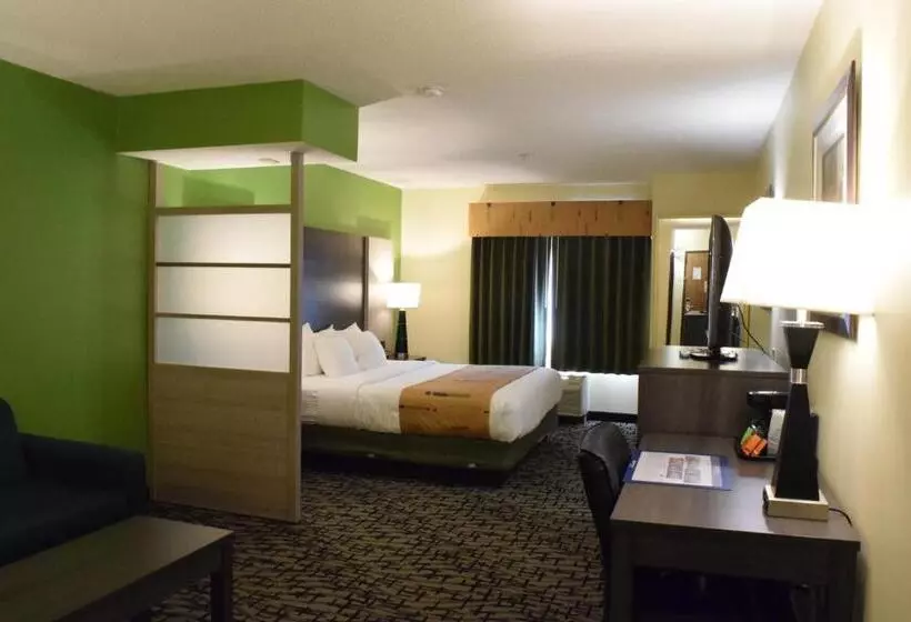 キングサイズベッドのスイートルーム, Best Western Crown Inn & Suites   Batavia