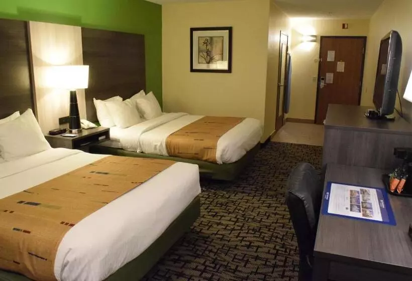 身障者適用クイーンサイズベッドルーム, Best Western Crown Inn & Suites   Batavia
