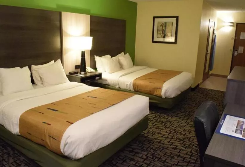 身障者適用クイーンサイズベッドルーム, Best Western Crown Inn & Suites   Batavia