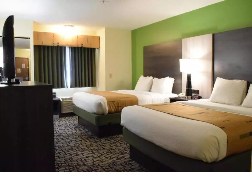 身障者適用クイーンサイズベッドルーム, Best Western Crown Inn & Suites   Batavia