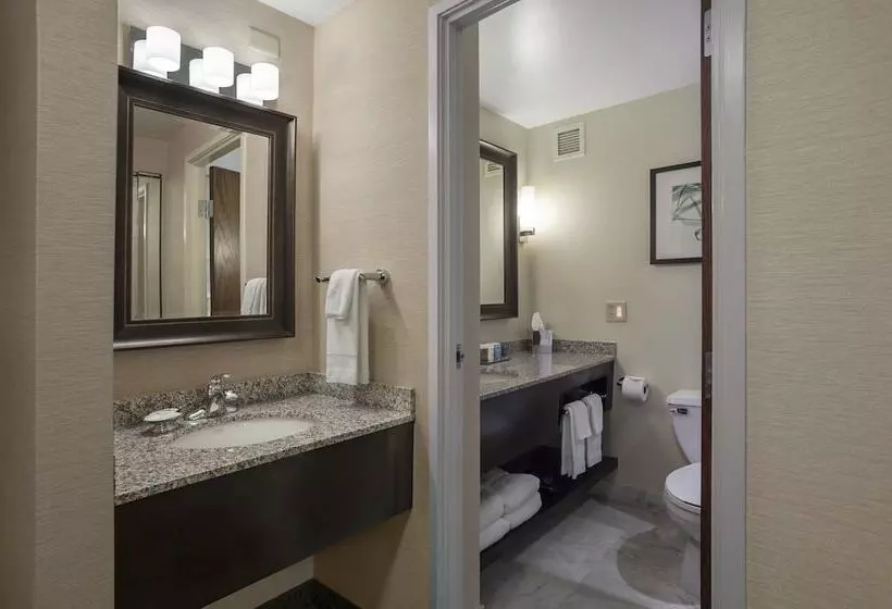 اتاق استاندارد, Crowne Plaza Lansing, An Ihg