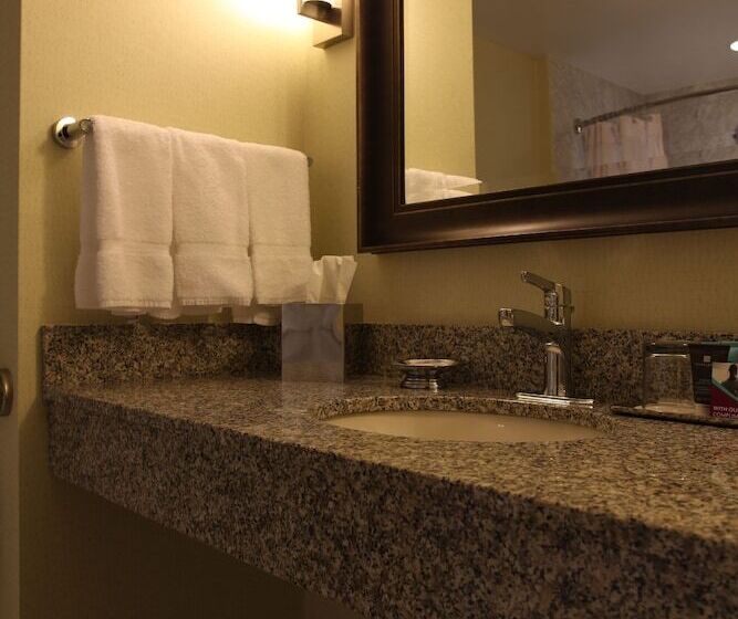 غرفه قياسيه سريرين مزدوجين, Crowne Plaza Lansing, An Ihg