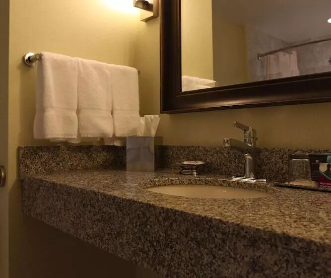 اتاق استاندارد با 2 تخت دوبل, Crowne Plaza Lansing, An Ihg