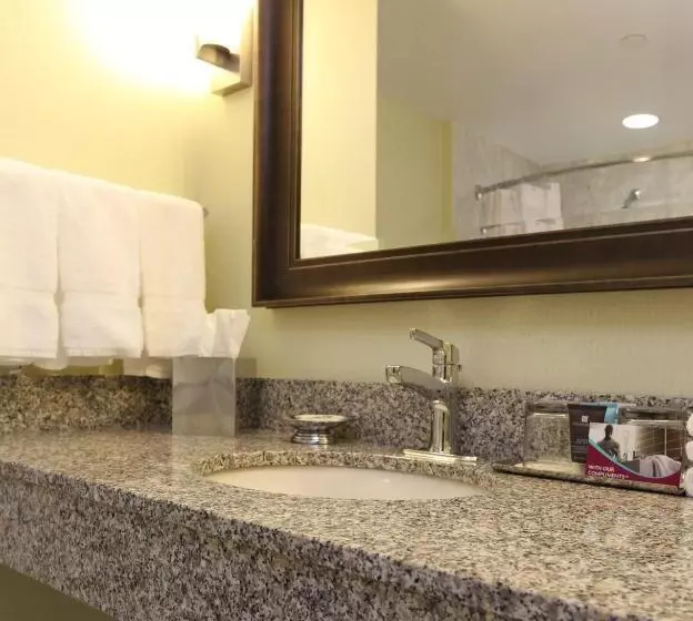 اتاق استاندارد با تخت بزرگ, Crowne Plaza Lansing, An Ihg