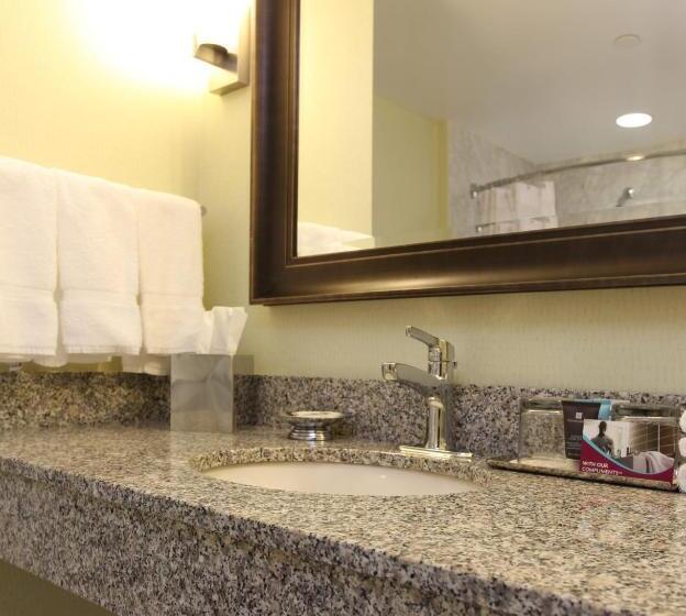 غرفة ديلوكس سرير كينج, Crowne Plaza Lansing, An Ihg