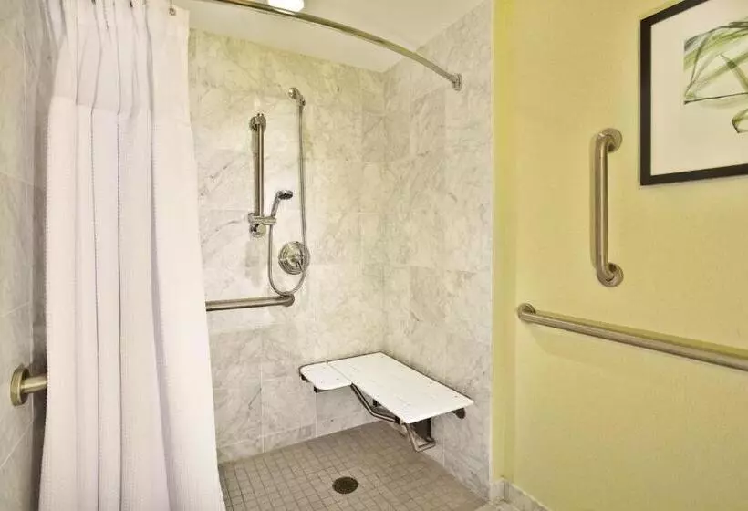 اتاق استاندارد با تخت بزرگ برای معلولان, Crowne Plaza Lansing, An Ihg