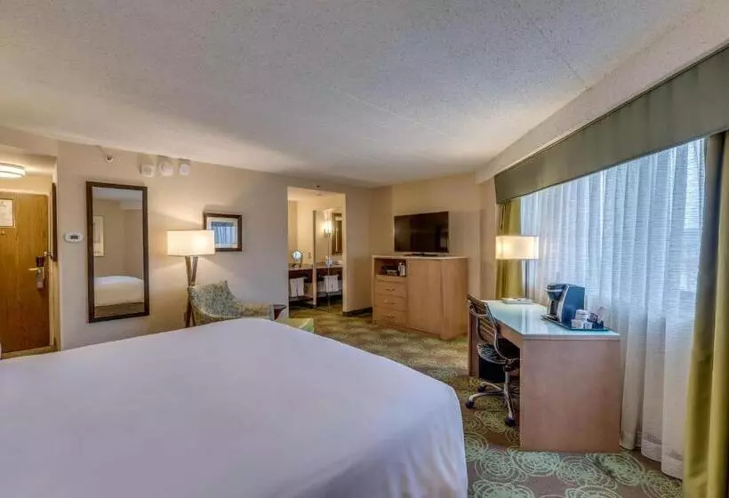اتاق استاندارد با تخت بزرگ, Crowne Plaza Lansing, An Ihg