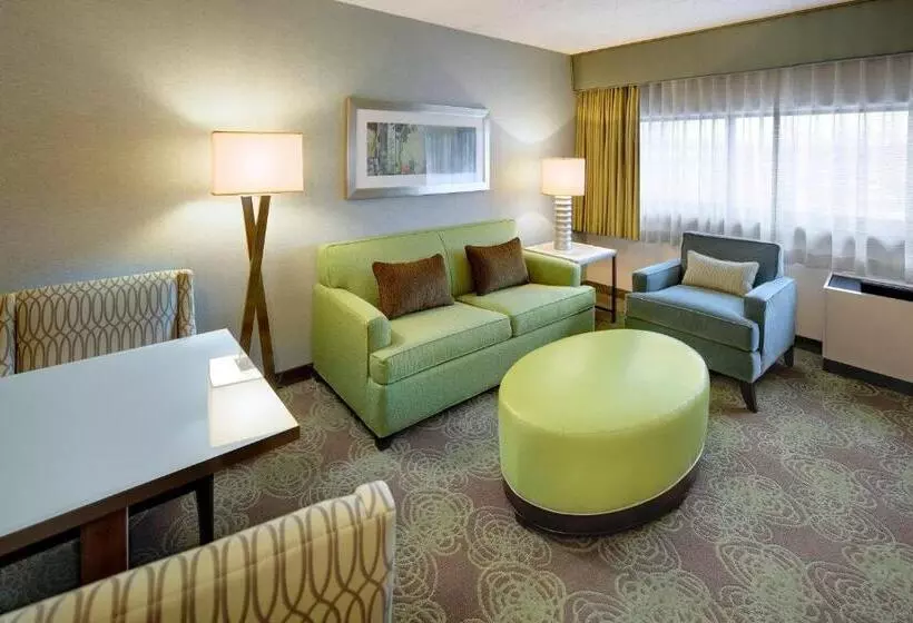 سوئیت با تخت بزرگ, Crowne Plaza Lansing, An Ihg