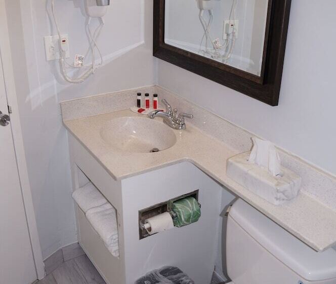 스위트, Days Inn & Suites By Wyndham Colonial