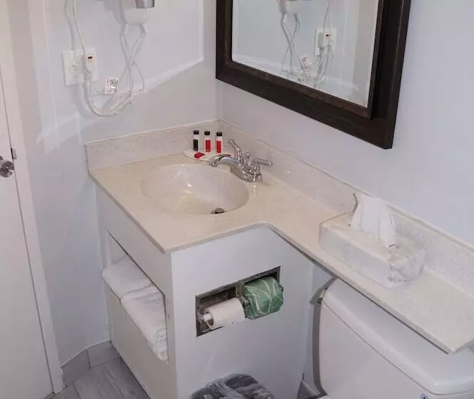 سوییت, Days Inn & Suites By Wyndham Colonial