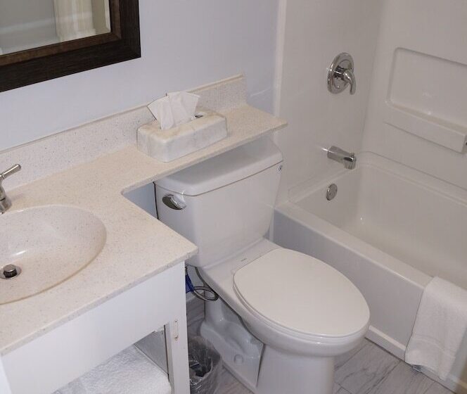 디럭스 룸, Days Inn & Suites By Wyndham Colonial