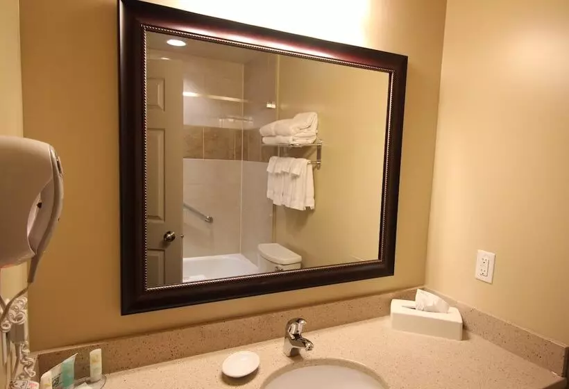 ２ダブルベッドのスタンダードルーム, Quality Inn & Suites