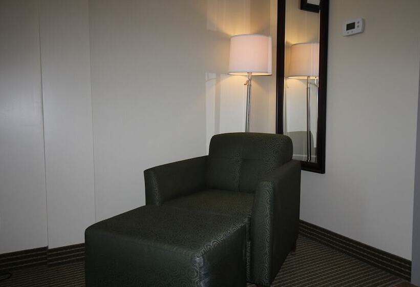 غرفه قياسيه سريرين مزدوجين, Quality Inn & Suites