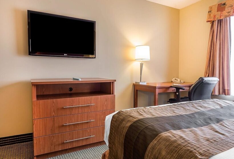 غرفه قياسيه سريرين مزدوجين, Quality Inn & Suites