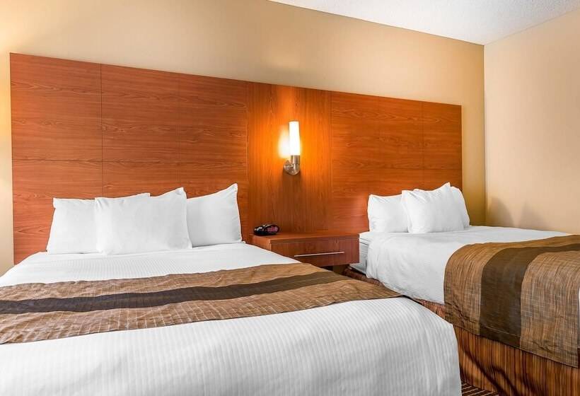 غرفه قياسيه سريرين مزدوجين, Quality Inn & Suites