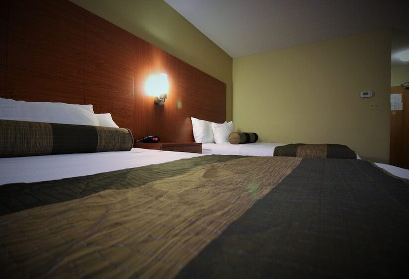 غرفه قياسيه سريرين مزدوجين, Quality Inn & Suites