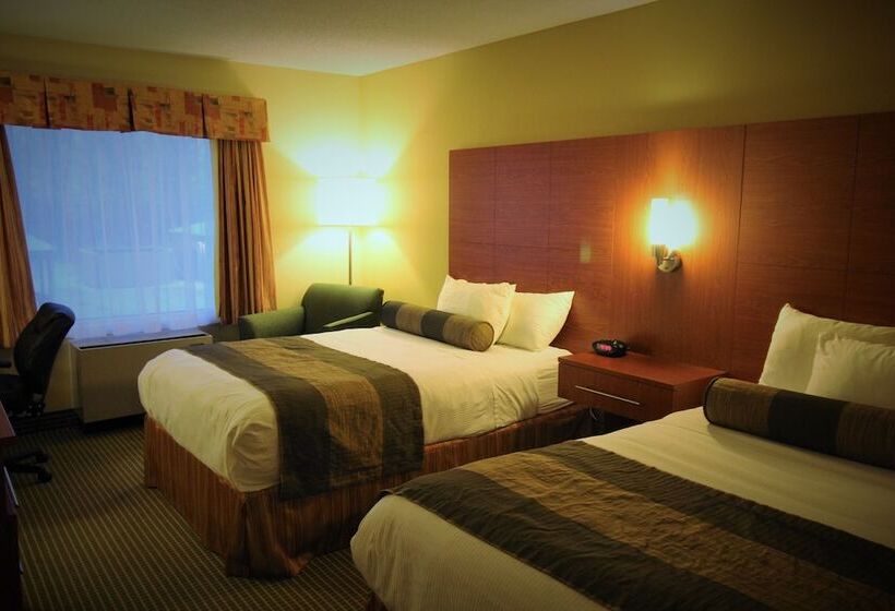 غرفه قياسيه سريرين مزدوجين, Quality Inn & Suites