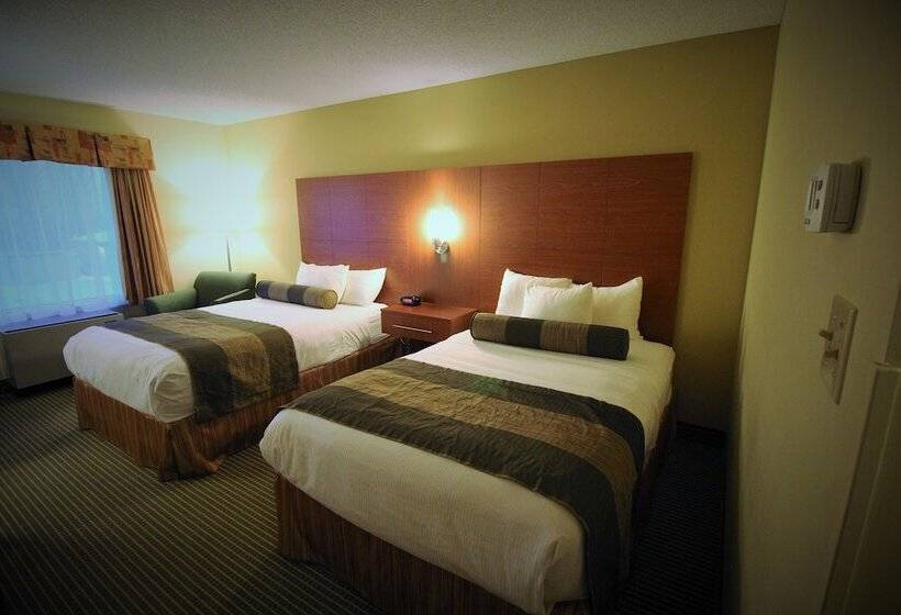 غرفه قياسيه سريرين مزدوجين, Quality Inn & Suites