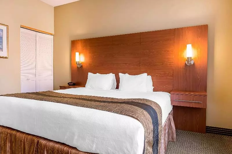 キングサイズベッドのスイートルーム, Quality Inn & Suites
