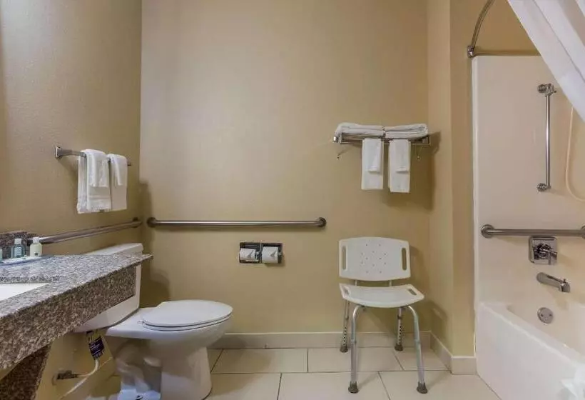 اتاق استاندارد با تخت بزرگ, Quality Inn Galesburg Near Us Highway 34 And I 74