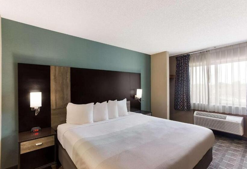 اتاق استاندارد با تخت بزرگ, Quality Inn Galesburg Near Us Highway 34 And I 74