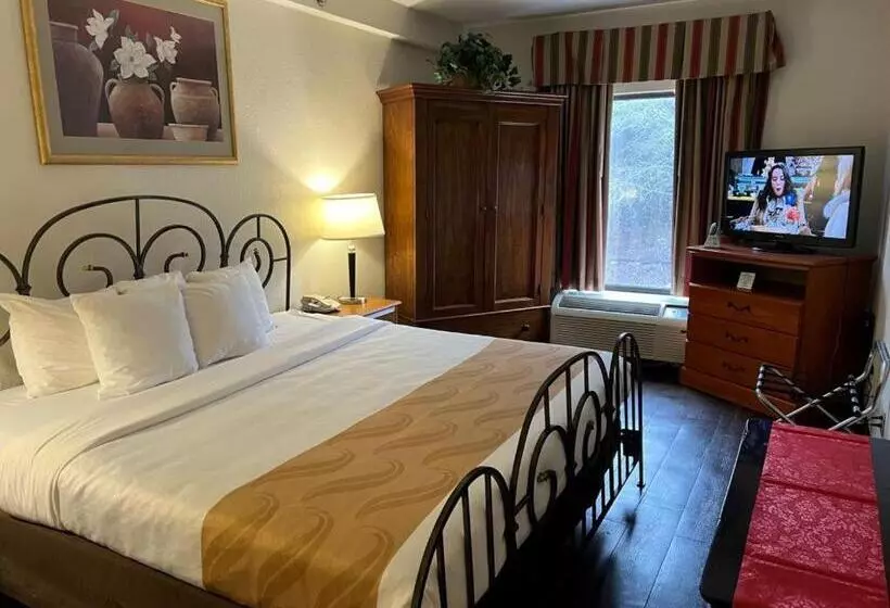 キングサイズベッドのスイートルーム, Quality Suites Altavista   Lynchburg South
