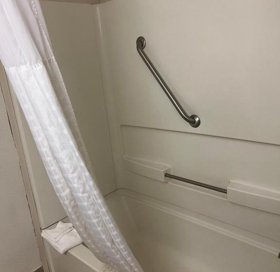 Люкс Адаптированный для Инвалидов, Quality Suites Altavista   Lynchburg South