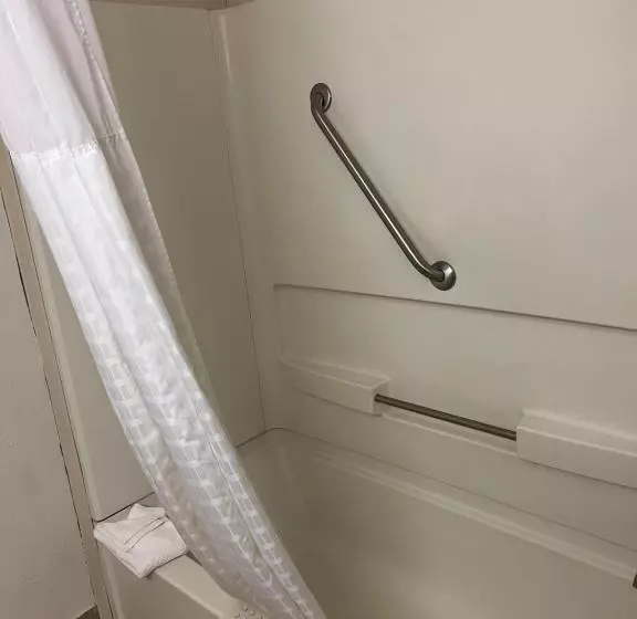 身障者適用スイートルーム, Quality Suites Altavista   Lynchburg South