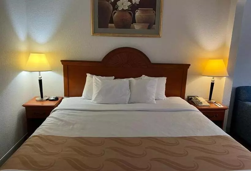 身障者適用スイートルーム, Quality Suites Altavista   Lynchburg South