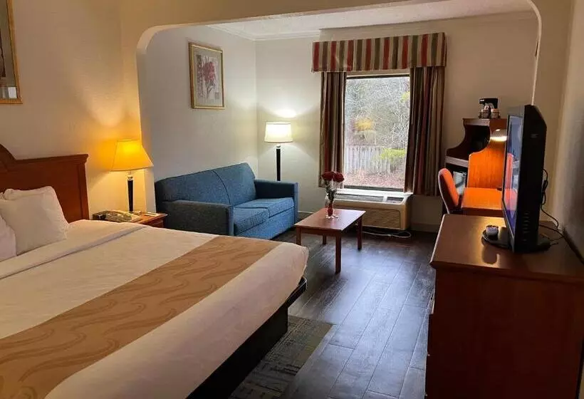 身障者適用スイートルーム, Quality Suites Altavista   Lynchburg South