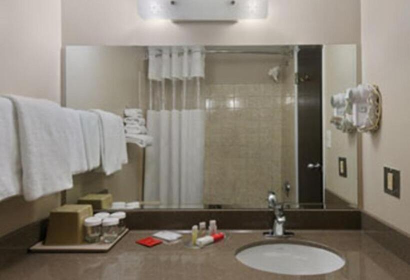 חדר סטנדרט עם מיטת קינג, South Hill Lodge