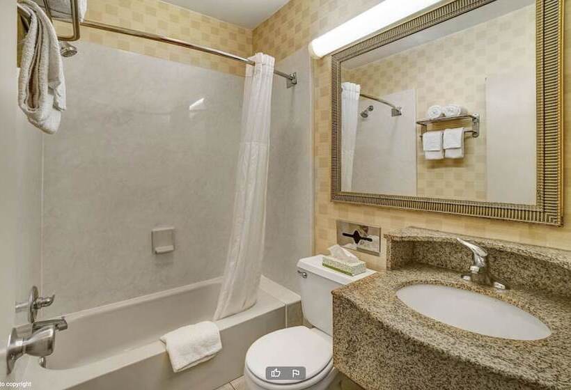 带2个双人床的标准工作室, Red Carpet Inn Philadelphia Airport