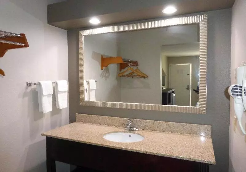 キングサイズベッドのデラックスルーム, Red Roof Inn Columbia, Tn