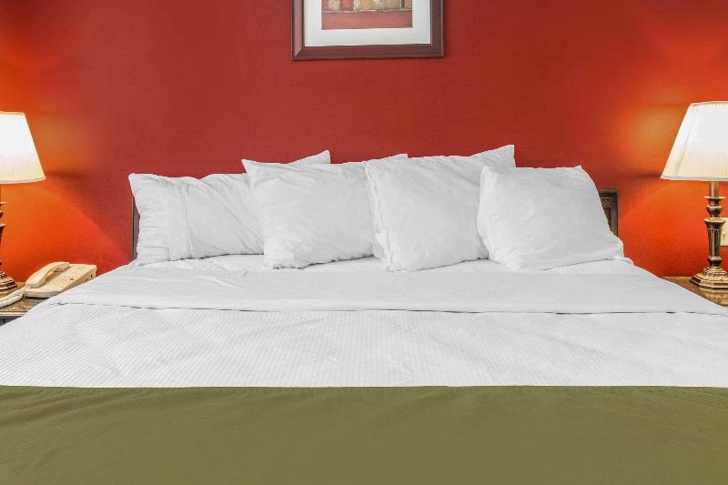 带大床的套房, Rodeway Inn