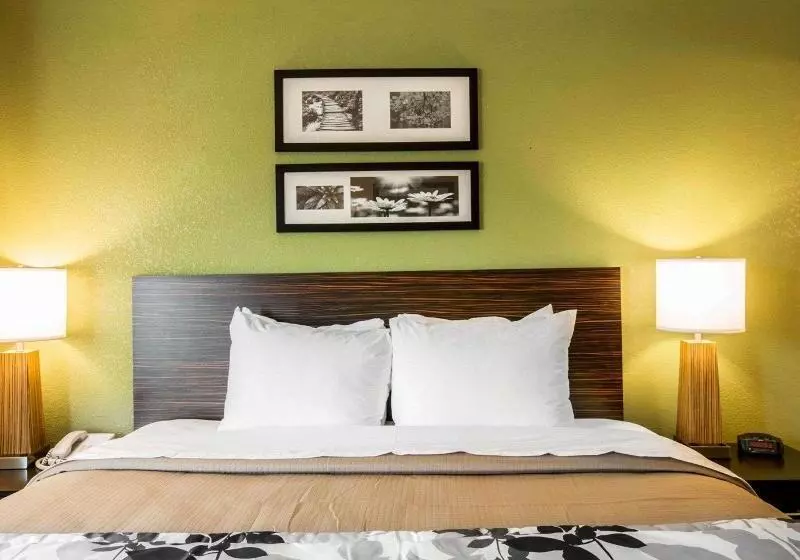 キングサイズベッドのスタンダードルーム, Sleep Inn