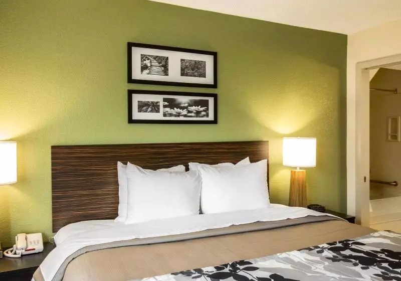 キングサイズベッドのスタンダードルーム, Sleep Inn