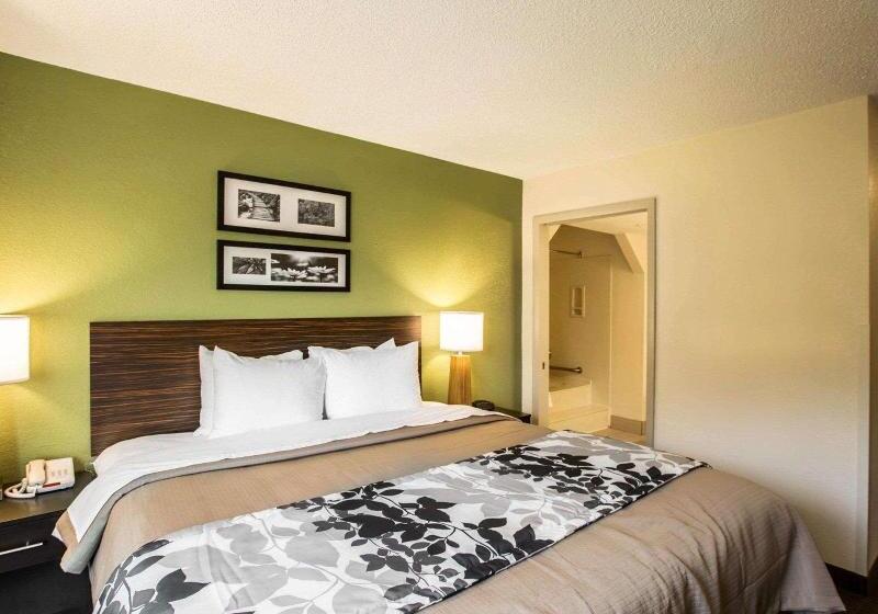 غرفة قياسية سرير كينج, Sleep Inn