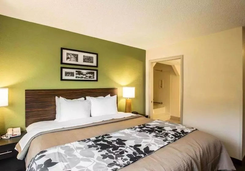 キングサイズベッドのスタンダードルーム, Sleep Inn