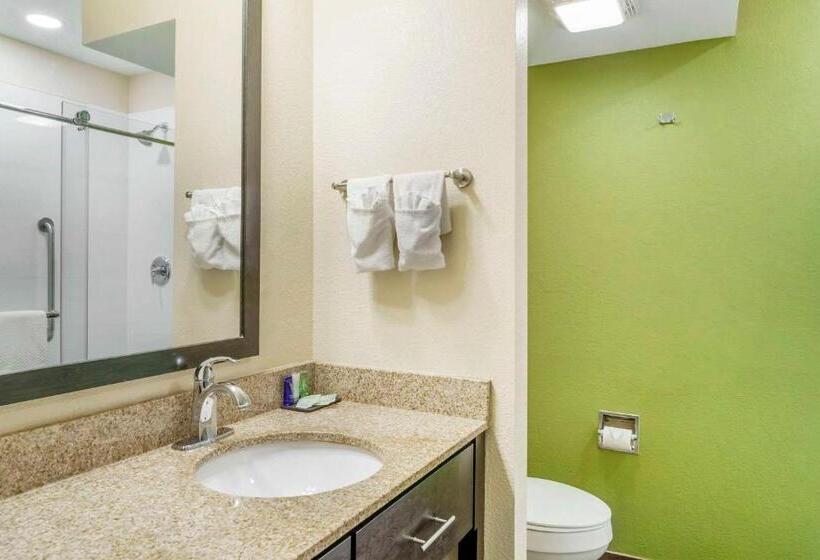 غرفة قياسية سرير كينج, Sleep Inn